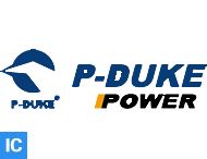 P-DUKE